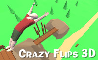 Crazy Flips 3D